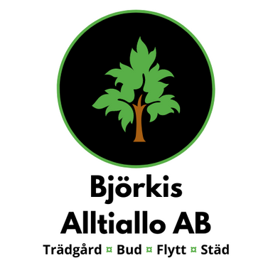 Björkis Alltiallo AB
